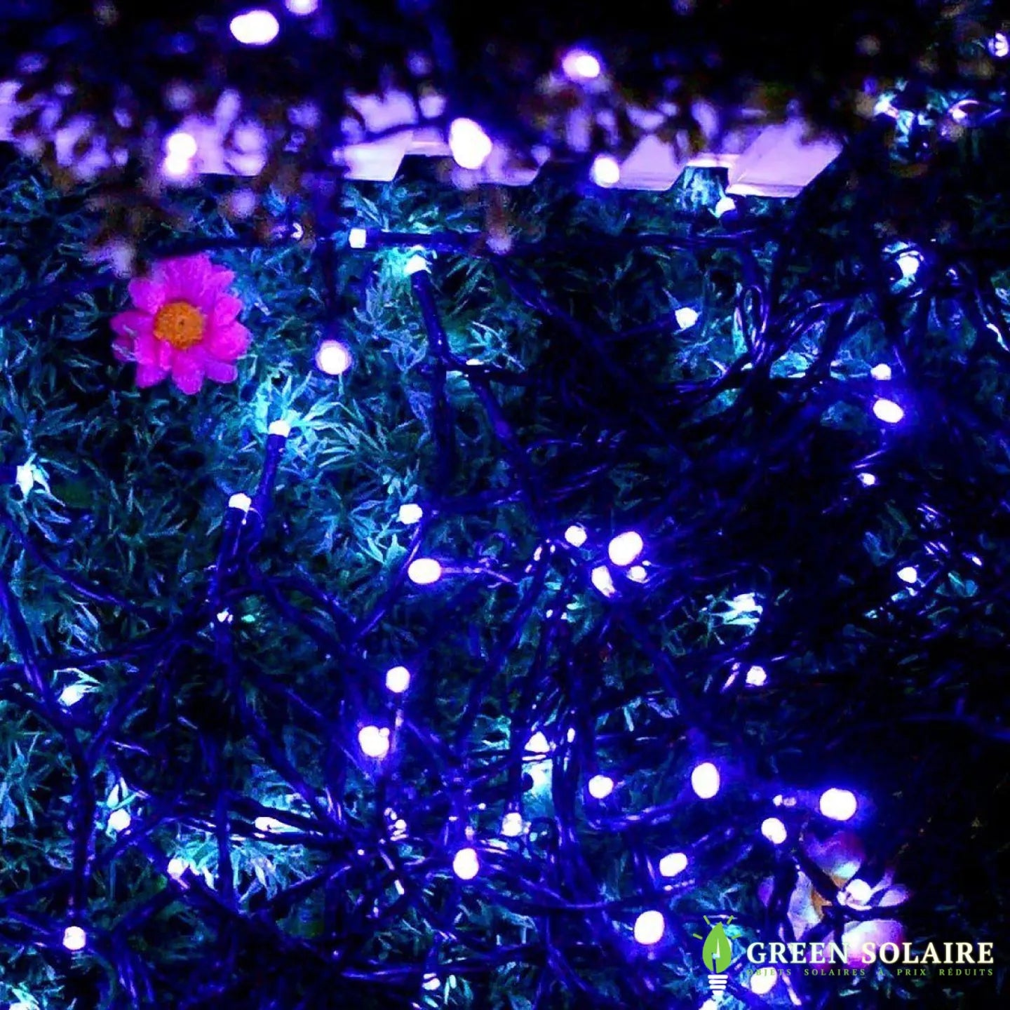 GUIRLANDE SOLAIRE LED VIOLET 22M