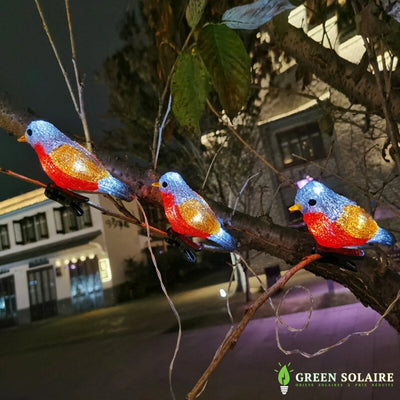 GUIRLANDE SOLAIRE LUMINEUSE OISEAUX DE NUIT