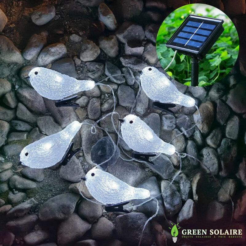 GUIRLANDE SOLAIRE LUMINEUSE OISEAUX DE NUIT