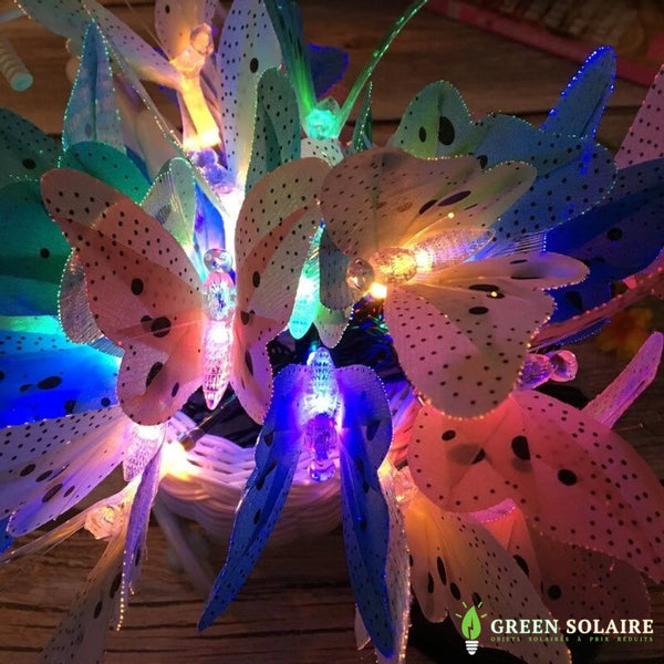 Papillon Volant, Papillon Solaire Flottant 3 Pcs Jardin Solaire Décor