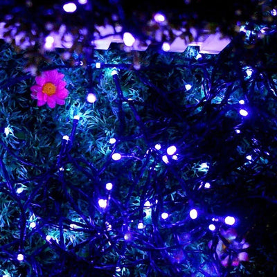 Guirlande Solaire LED Violet 22m pour Jardin – recharge solaire autonome, sans fil