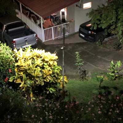 Lampadaire solaire éclairant un jardin la nuit