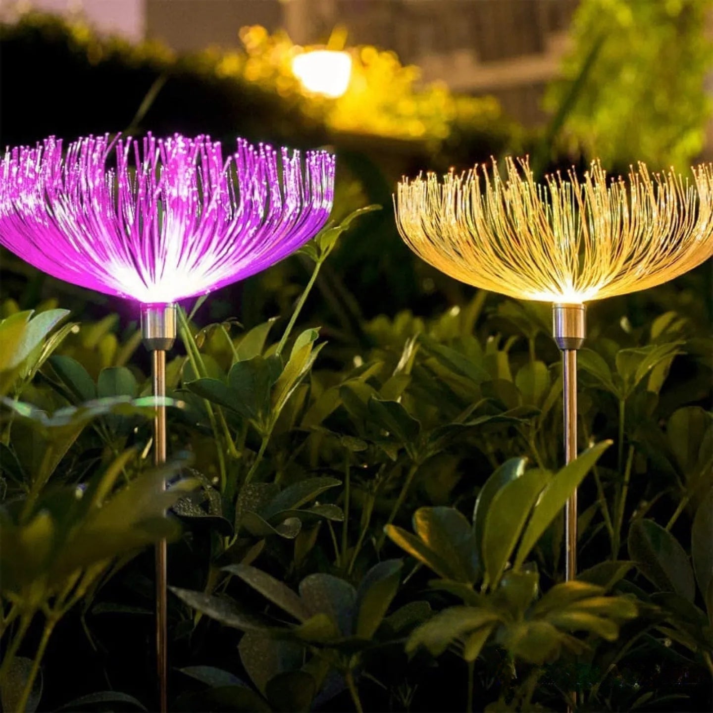 Lampe Solaire de Jardin à Planter Couleur Changeante