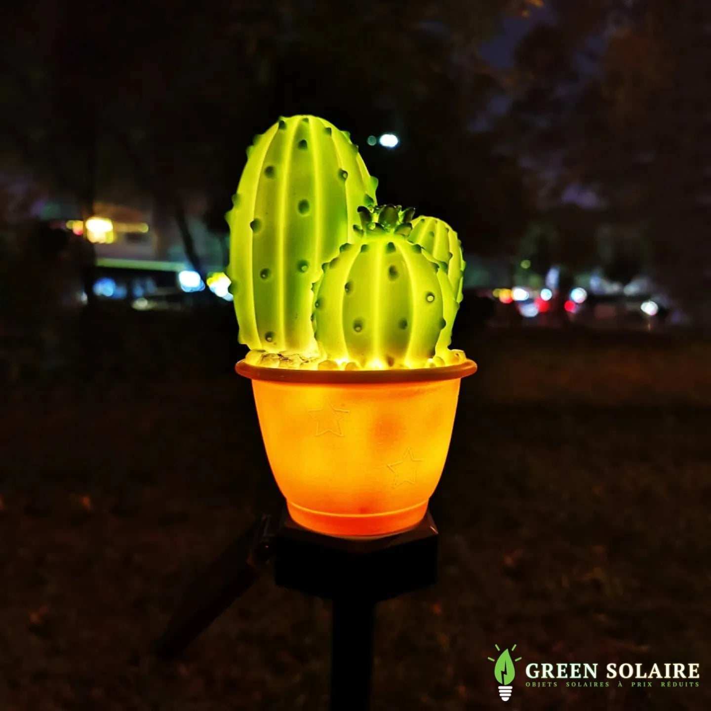 LAMPE CACTUS SOLAIRE LUMINEUX