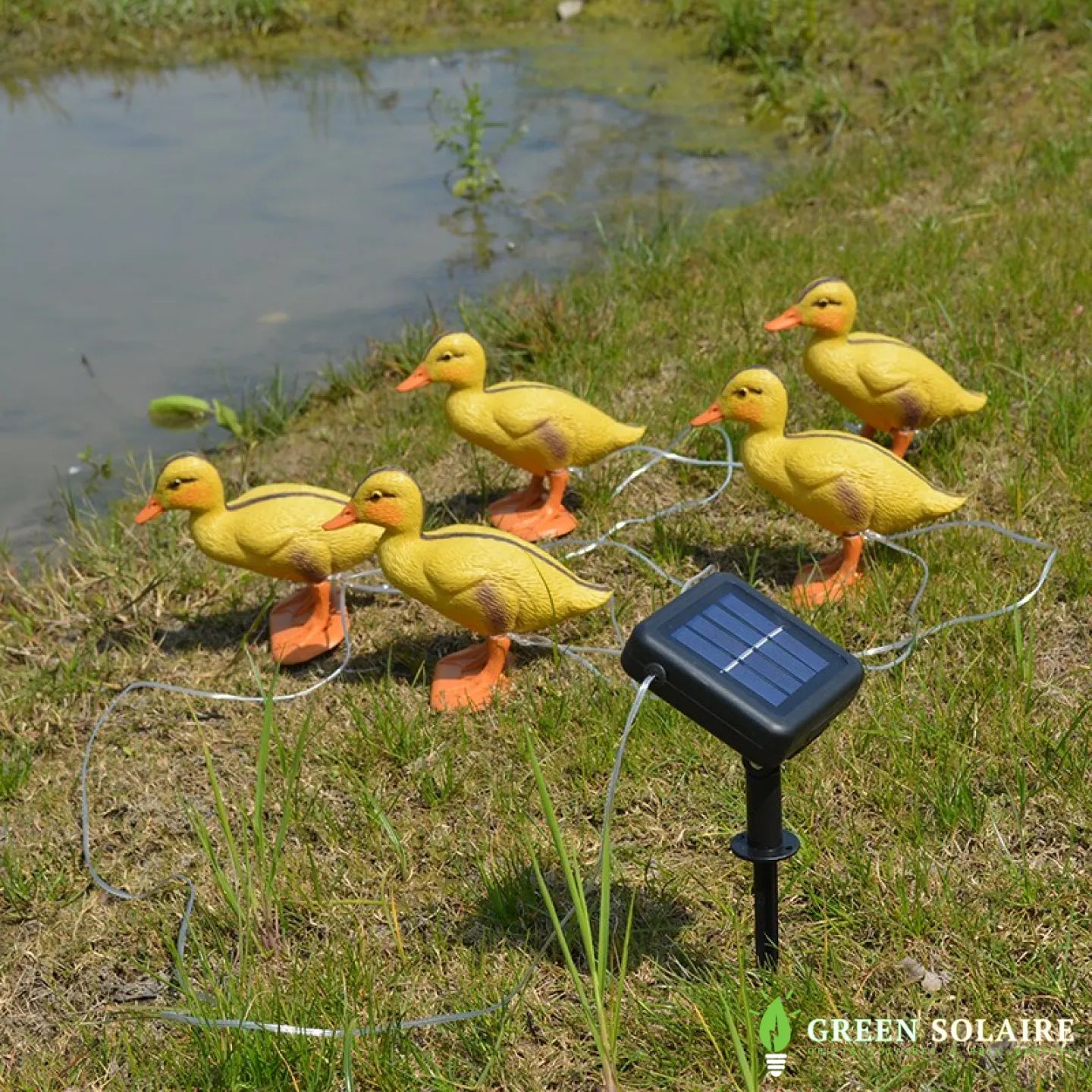 LAMPE SOLAIRE CANARD LUMINEUX