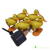 LAMPE SOLAIRE CANARD LUMINEUX