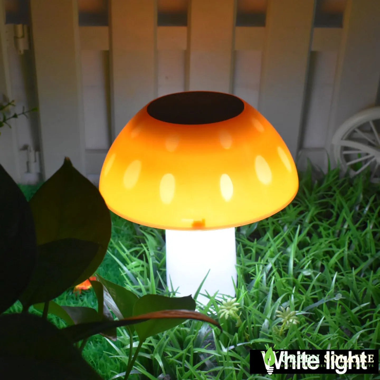 LAMPE SOLAIRE CHAMPIGNON - Blanc froid 6000K