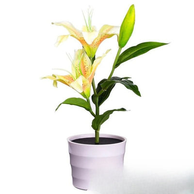 Fleurs Solaires Lily Décorative Jaune Jardin
