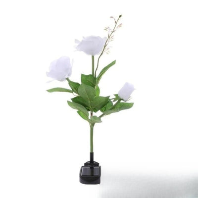 Fleur Solaire Lily et Rose Jardin Rose Blanche