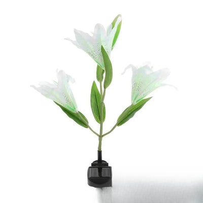 Fleur Solaire Lily et Rose Jardin Lily Blanche