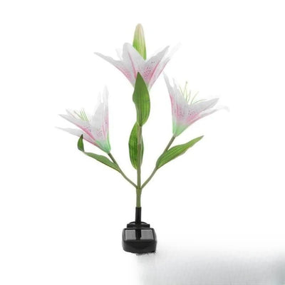 Fleur Solaire Lily et Rose Jardin Lily Rose