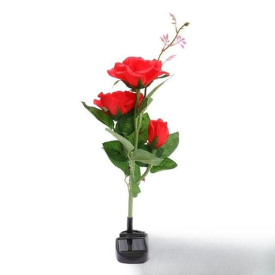 Fleur Solaire Lily et Rose Jardin Rose Rouge
