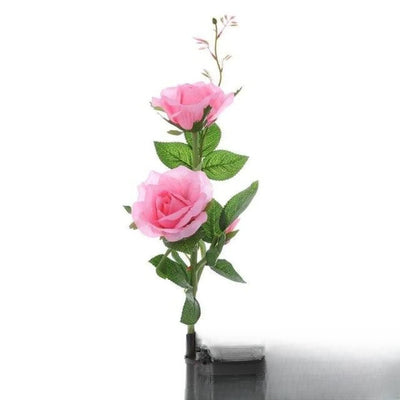 Fleur Solaire Lily et Rose Jardin Rose