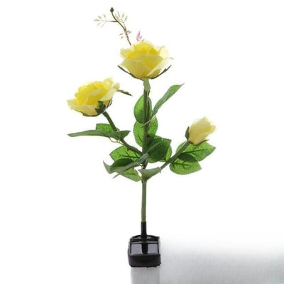 Fleur Solaire Lily et Rose Jardin Rose Jaune