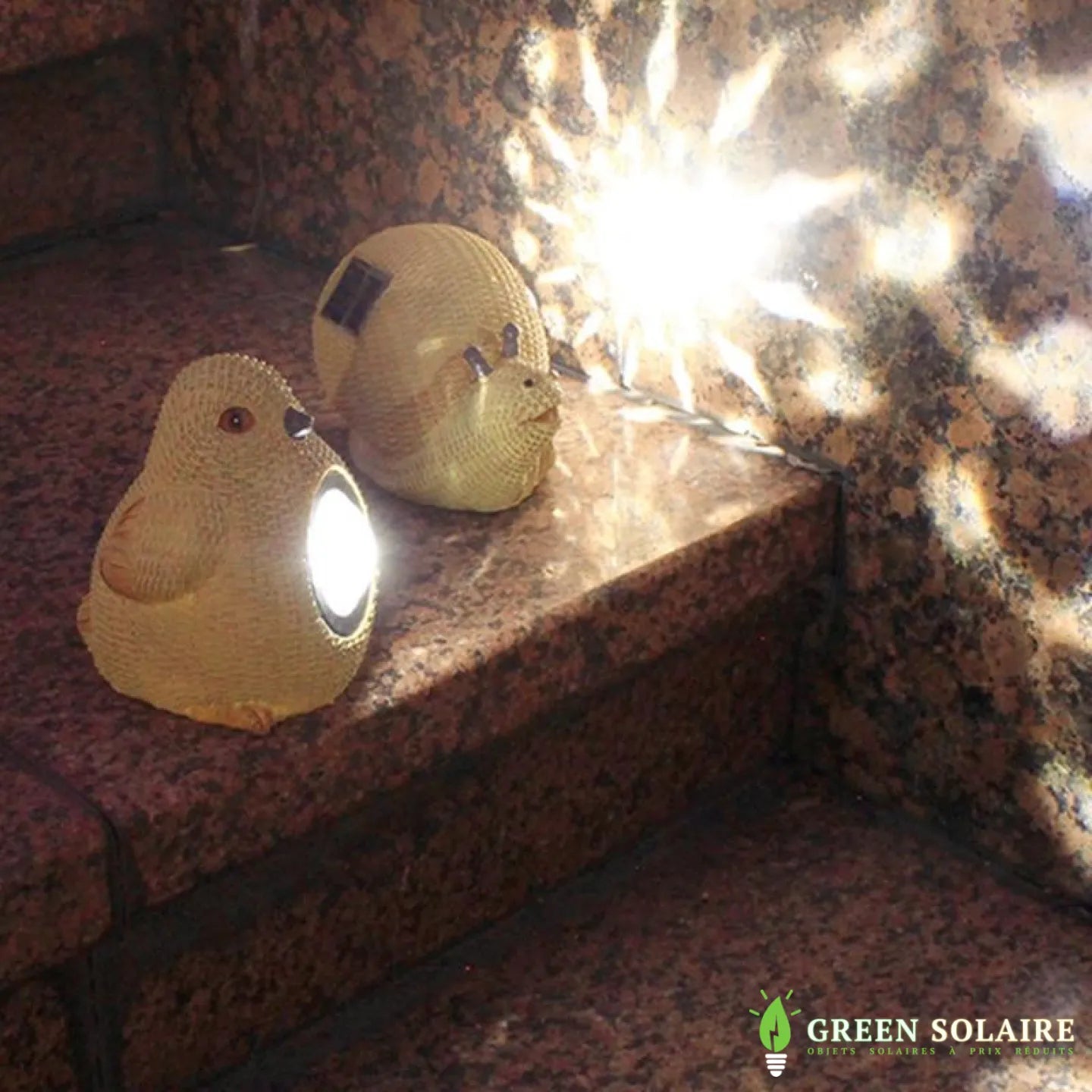 OISEAUX SOLAIRE LUMINEUX ANIMAUX DE JARDIN