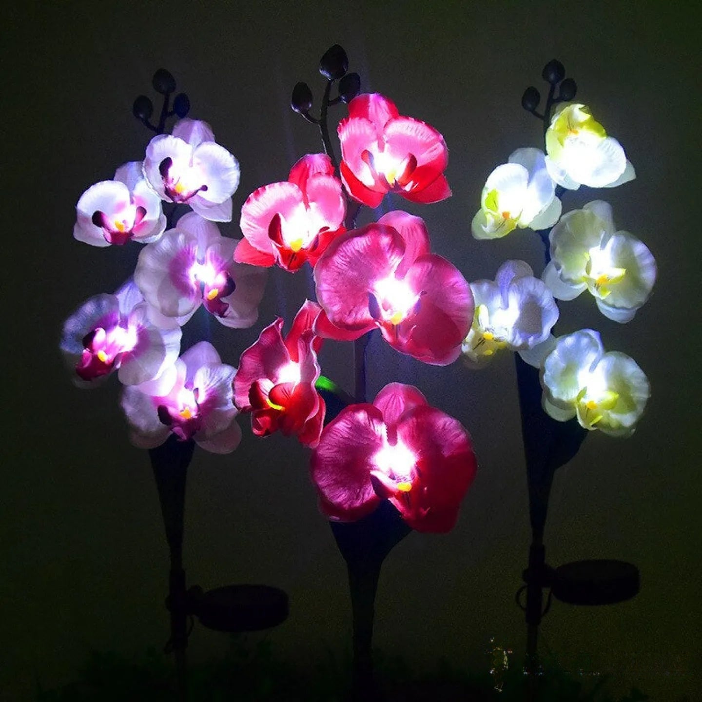 Orchidée Solaire LED Décorative Lumineuse Jardin