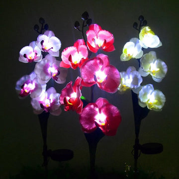 Orchidée Solaire LED Décorative Lumineuse Jardin