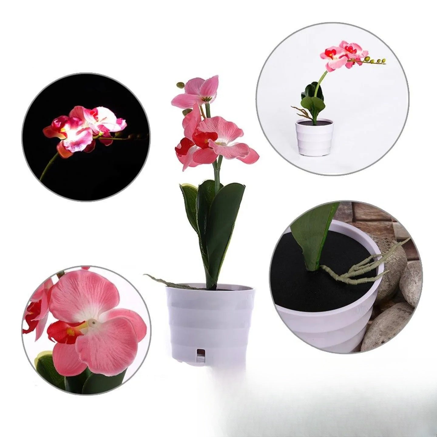 Fleur Solaire Orchidée Décorative Lumineuse Rose