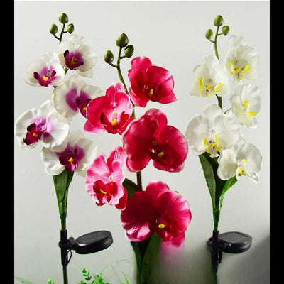 Orchidée Solaire LED Décorative Lumineuse Jardin – éclairage LED allumé de nuit