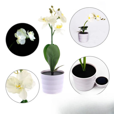 Fleur Solaire Orchidée Décorative Lumineuse Blanche