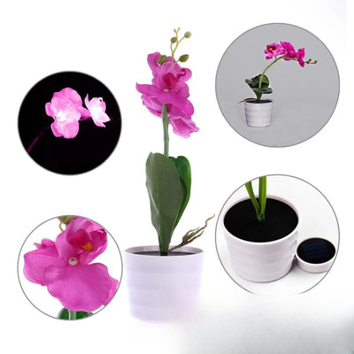Fleur Solaire Orchidée Décorative Lumineuse Violette