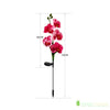 ORCHIDÉE SOLAIRE LED