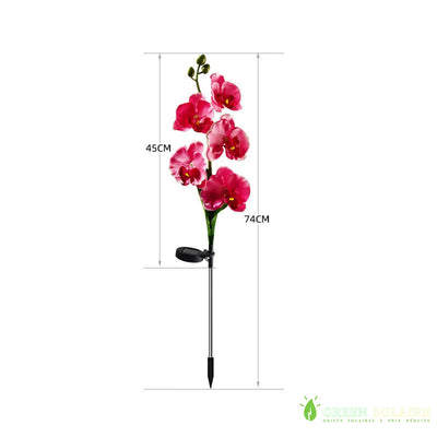 ORCHIDÉE SOLAIRE LED