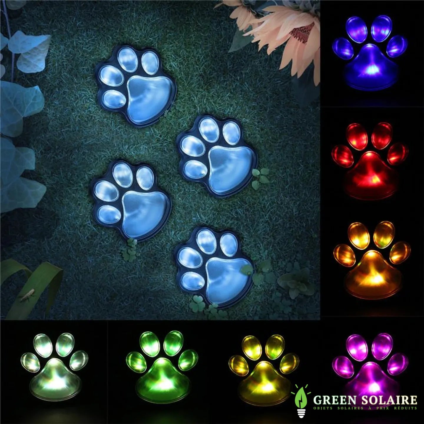 Pattes de Chien Solaires Décorative