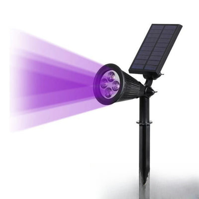 Piquet LED Solaire Extérieur IP65 Jardin Violet