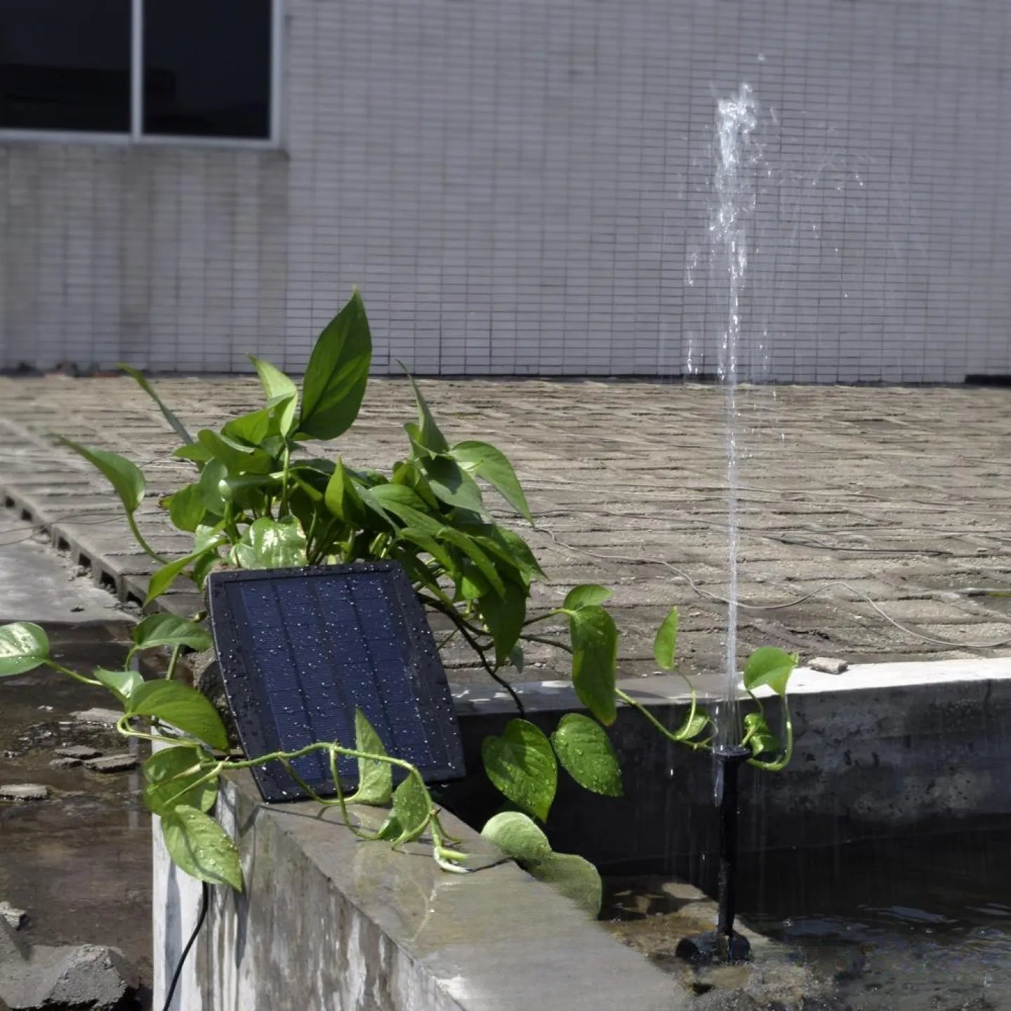 Pompe à Eau Solaire Extérieur Fontaine Bassin Jardin