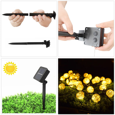 https://cdn.shopify.com/s/files/1/0271/8731/4772/products/product-image-1018437030.jpg?v=1584822434