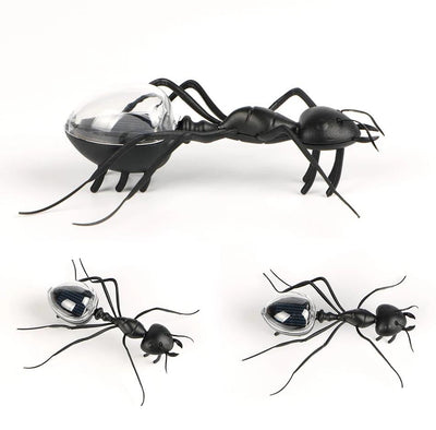 https://cdn.shopify.com/s/files/1/0271/8731/4772/products/product-image-1021620131.jpg?v=1584822318