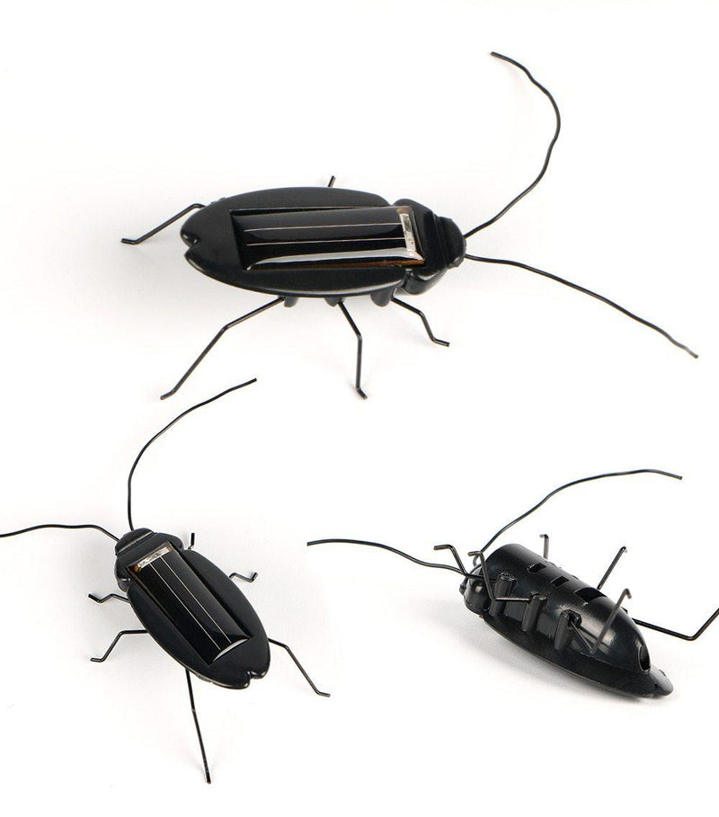 Cafard solaire noir décoratif LED pour jardin