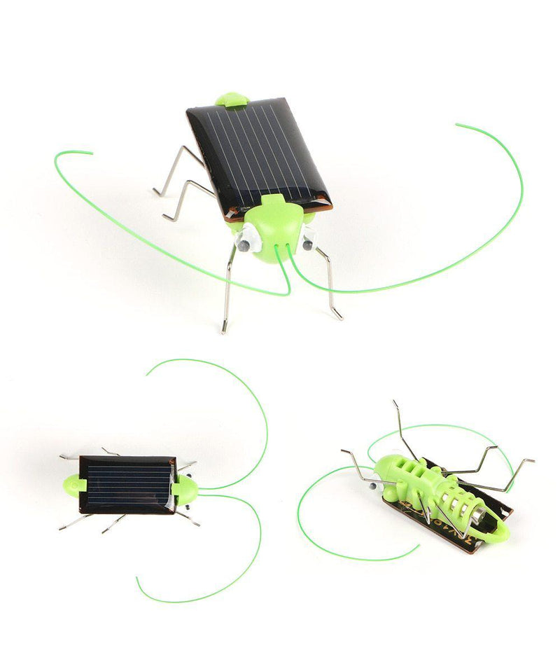 Criquet solaire vert décoratif LED pour jardin