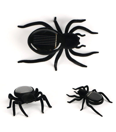 https://cdn.shopify.com/s/files/1/0271/8731/4772/products/product-image-1021620142.jpg?v=1584822321