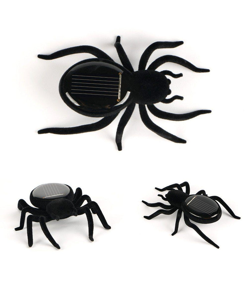Veuve noire solaire arachnide LED pour jardin