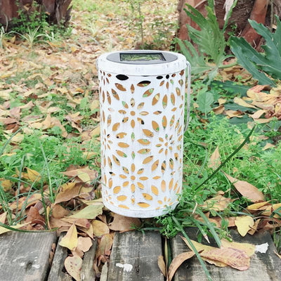 https://cdn.shopify.com/s/files/1/0271/8731/4772/products/product-image-1033102082.jpg?v=1584822697