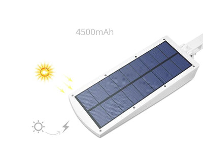 https://cdn.shopify.com/s/files/1/0271/8731/4772/products/product-image-1036526622.jpg?v=1584822491