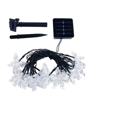 https://cdn.shopify.com/s/files/1/0271/8731/4772/products/product-image-1040636462.jpg?v=1584822457
