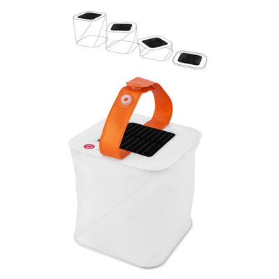 https://cdn.shopify.com/s/files/1/0271/8731/4772/products/product-image-1046072113.jpg?v=1584822526