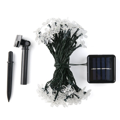 https://cdn.shopify.com/s/files/1/0271/8731/4772/products/product-image-1046888096.jpg?v=1584822395