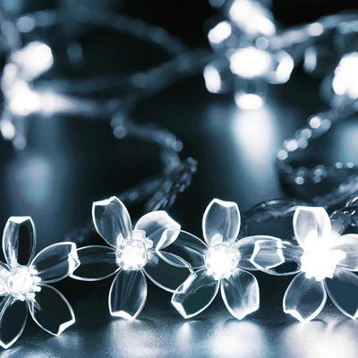 https://cdn.shopify.com/s/files/1/0271/8731/4772/products/product-image-1046888102.jpg?v=1584822395