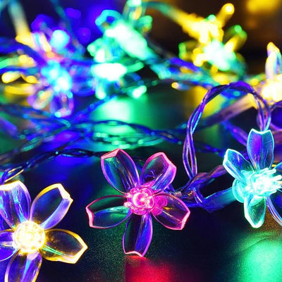 https://cdn.shopify.com/s/files/1/0271/8731/4772/products/product-image-1046888105.jpg?v=1584822395