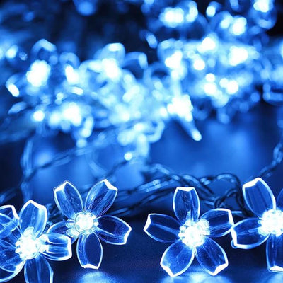https://cdn.shopify.com/s/files/1/0271/8731/4772/products/product-image-1046888108.jpg?v=1584822395