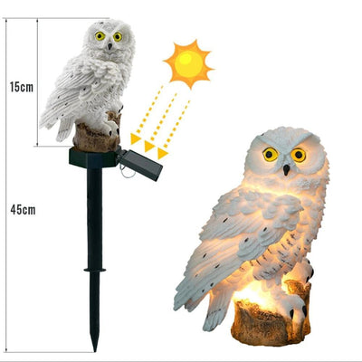 https://cdn.shopify.com/s/files/1/0271/8731/4772/products/product-image-1047780455.jpg?v=1584822262