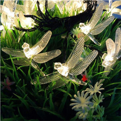 https://cdn.shopify.com/s/files/1/0271/8731/4772/products/product-image-1053338464.jpg?v=1584822463