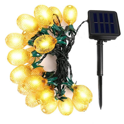 https://cdn.shopify.com/s/files/1/0271/8731/4772/products/product-image-1057432782.jpg?v=1584822378