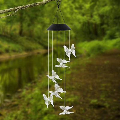 https://cdn.shopify.com/s/files/1/0271/8731/4772/products/product-image-1140373037.jpg?v=1584822295