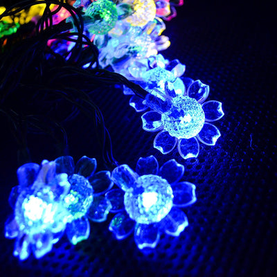 https://cdn.shopify.com/s/files/1/0271/8731/4772/products/product-image-1167139460.jpg?v=1584822446