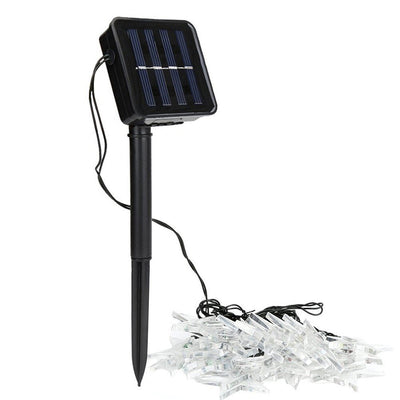 https://cdn.shopify.com/s/files/1/0271/8731/4772/products/product-image-1190264758_04023d8a-47df-467c-9786-5b09412432d2.jpg?v=1584822337